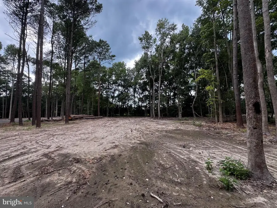 Lot 2 Wakely Pl, Milton, DE 19968 - #3