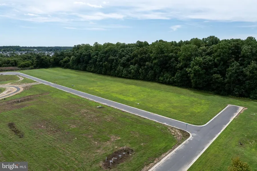 17032 Regal Dr, Milton, DE 19968 - #3