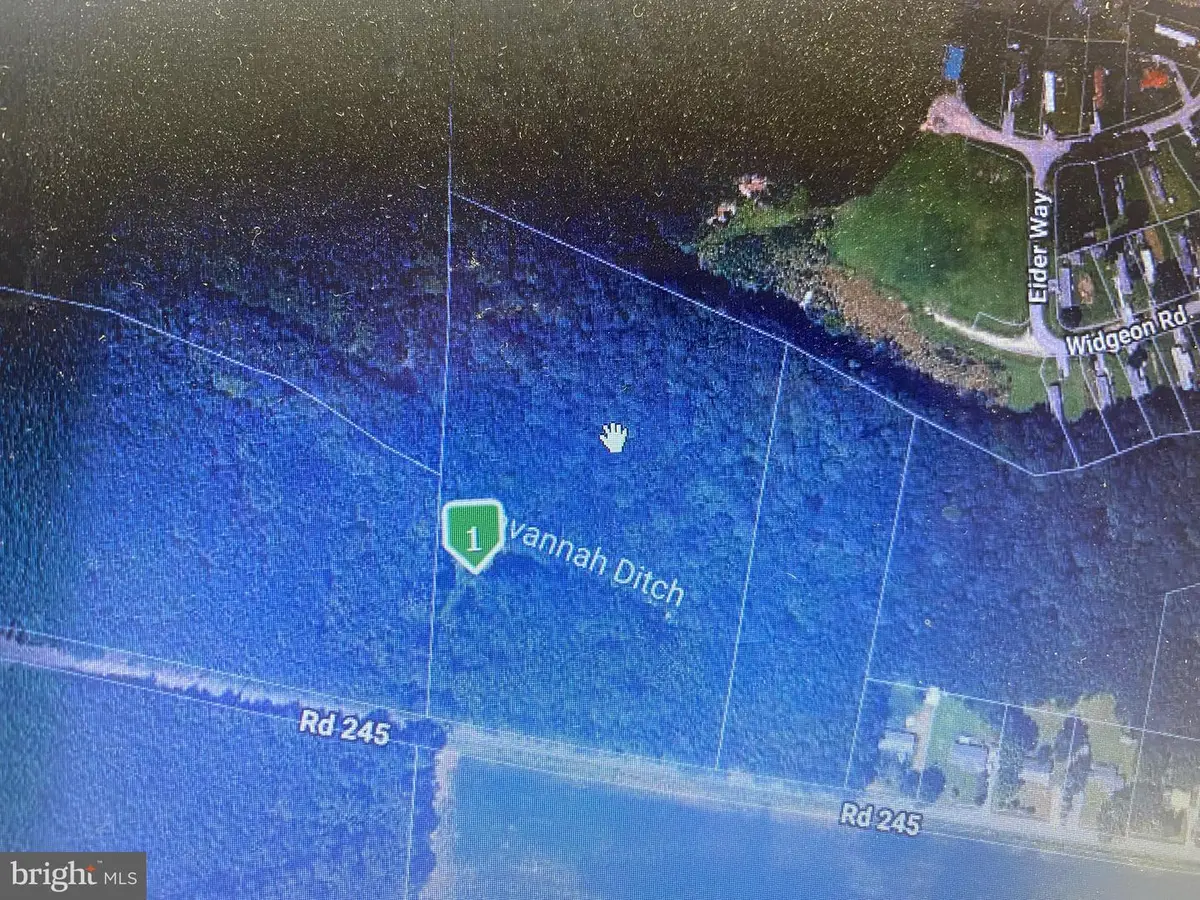 8 Acres Rudd Rd, Georgetown, DE 19947 - #1