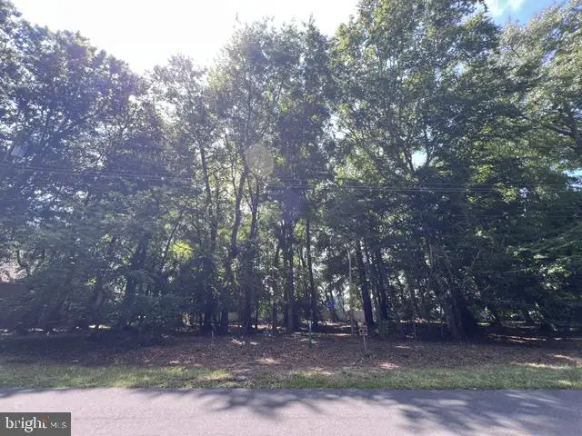 14 Holly Ln, Ocean View, DE 19970 - #1