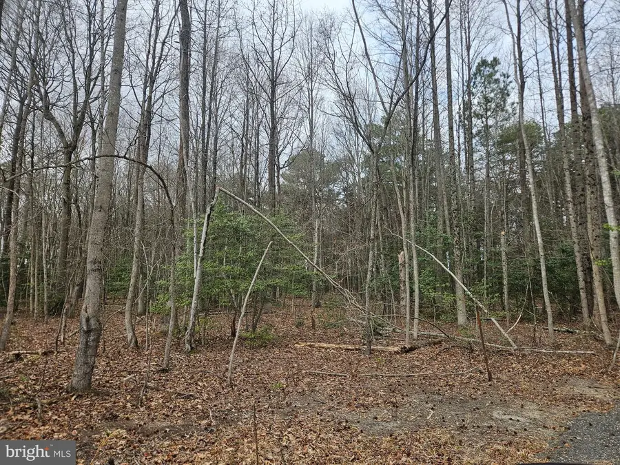 15437 Megan Joy Ln, Lincoln, DE 19960 - #3