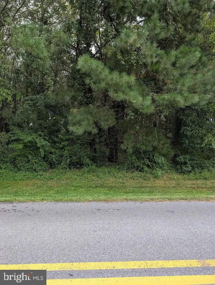 Lot 5 Falling Pt Rd, Dagsboro, DE 19939 - #1