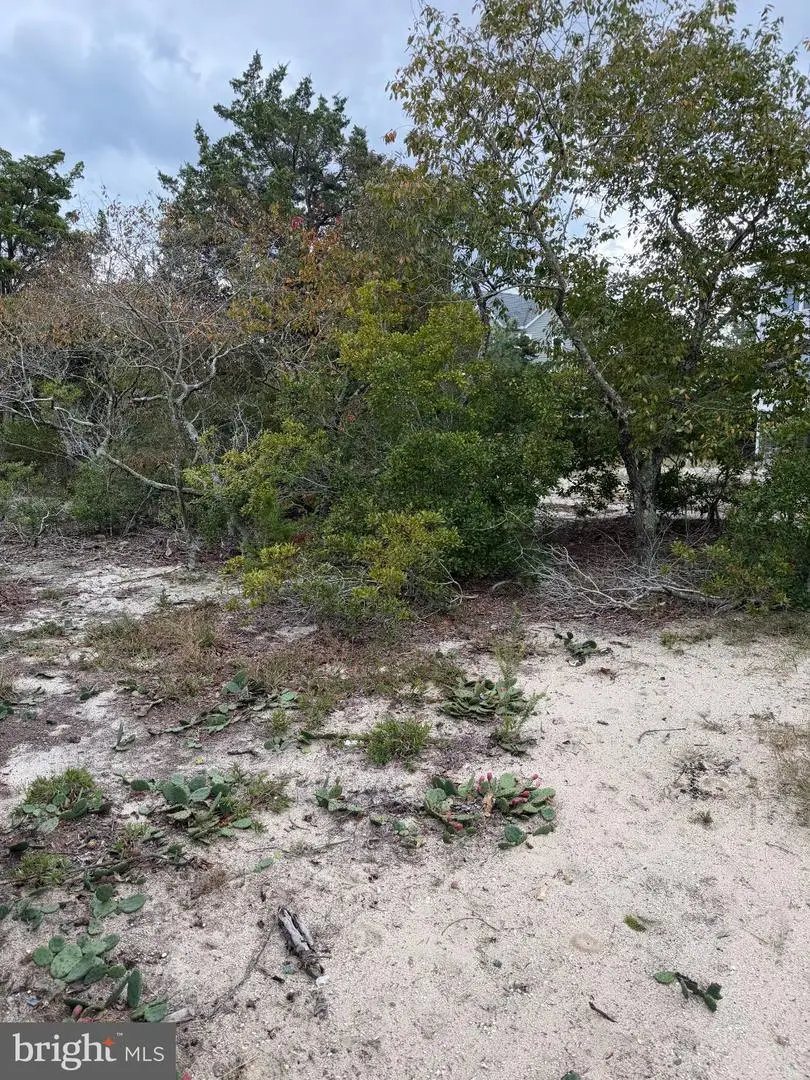 Lot 9 Pintail Ave, Milton, DE 19968 - #1