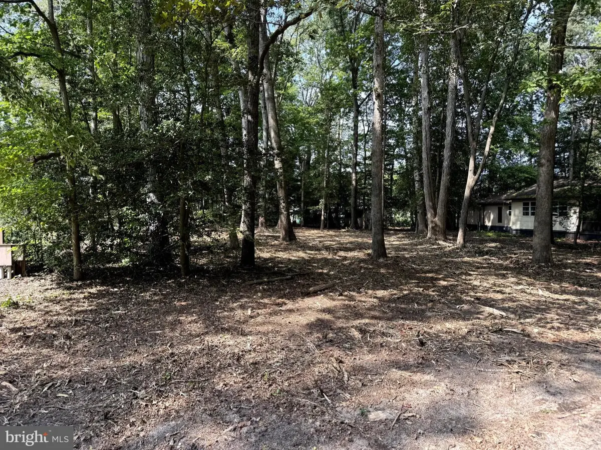 20178 Spruce Ave, Lewes, DE 19958 - #1