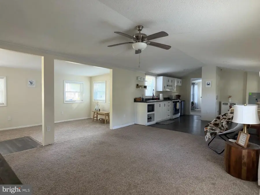 37088 E White Tail Dr, Selbyville, DE 19975 - #3
