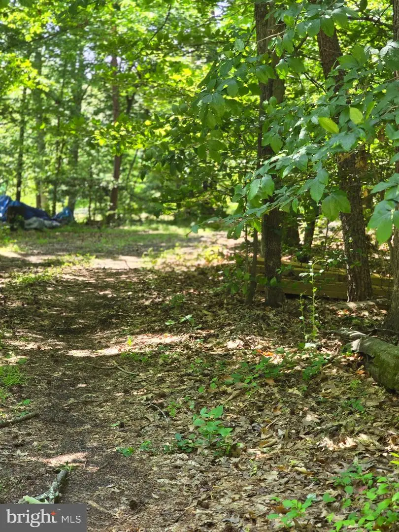 #3