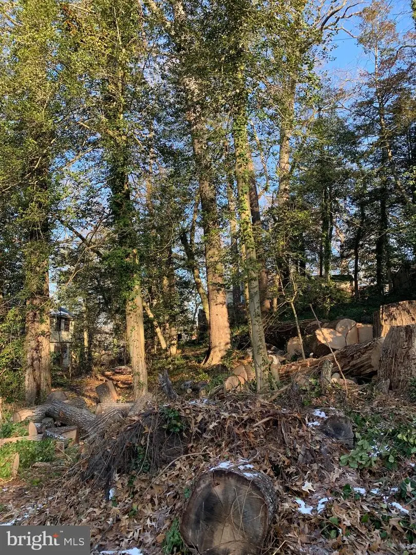 366 Walnut Trl, Crownsville, MD 21032 - Image #3