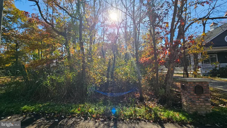 1217 Cross, Annapolis, MD 21403 - Image #2