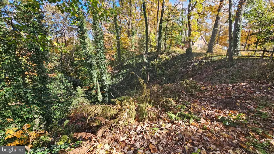 1116 Ridge Pl, Crownsville, MD 21032 - Image #3