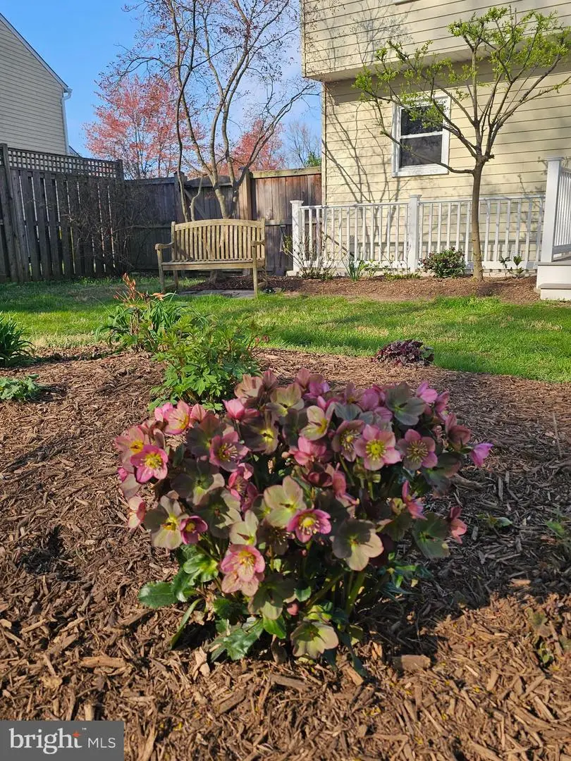 206 Armstrong Ln, Pasadena, MD 21122 - #1