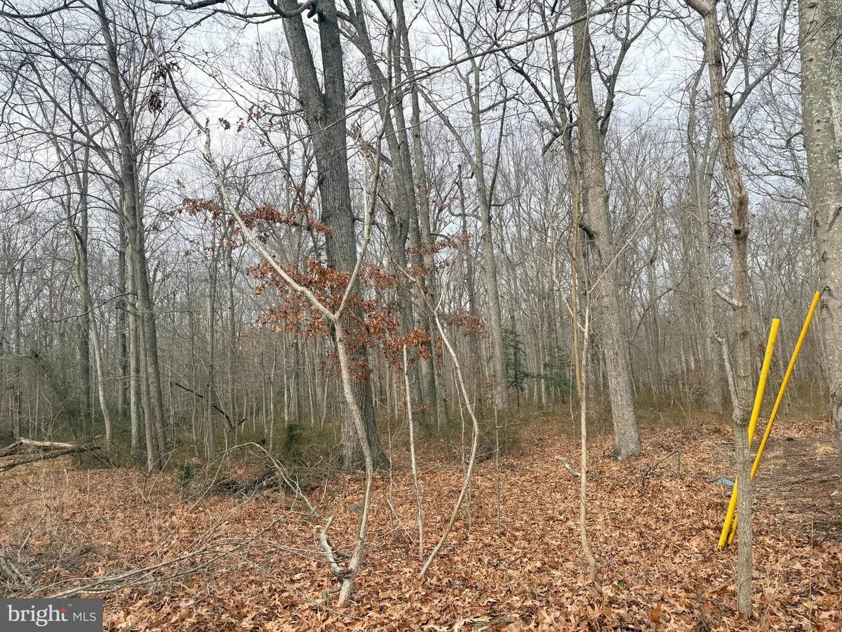 Pine Ave, Shady Side, MD 20764 - Image #1