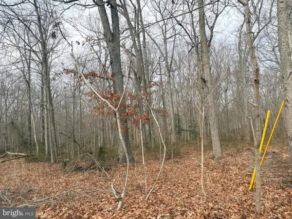 Pine Ave, SHADY SIDE, MD 20764