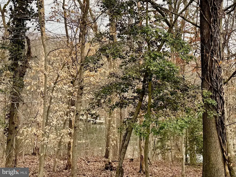 2702 Gingerview Ln, Annapolis, MD 21401 - #2