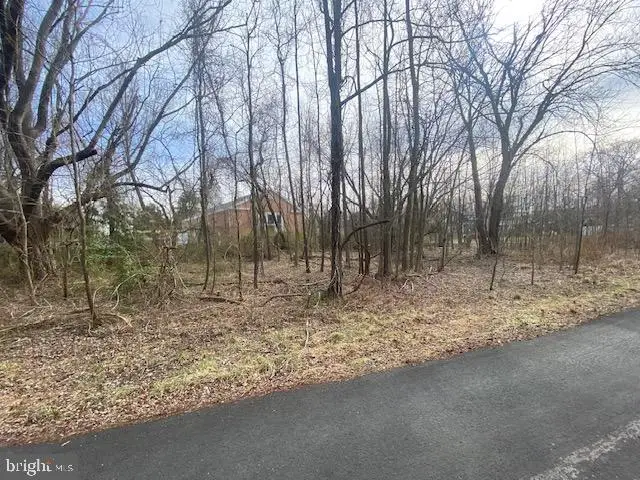 1027 Old Turkey Point Rd, Edgewater, MD 21037 - #2