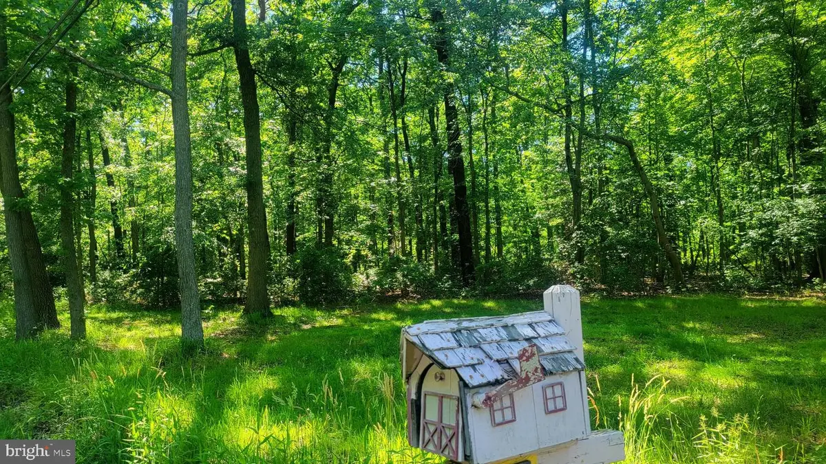 838 Nabbs Creek Rd, Glen Burnie, MD 21060 - #1