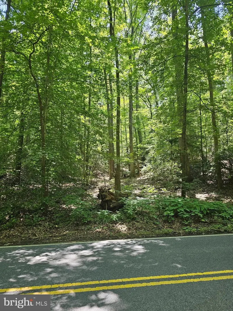 Herald Harbor Rd, Crownsville, MD 21032 - #2
