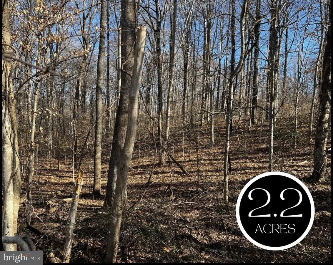 6299 Mckendree Rd, Dunkirk, MD 20754 - #1