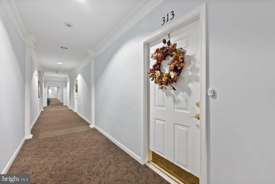 2607 Chapel Lake Dr #313, Gambrills, MD 21054 - #2