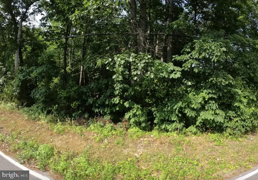 Old Waugh Chapel Rd, Odenton, MD 21113 - #3