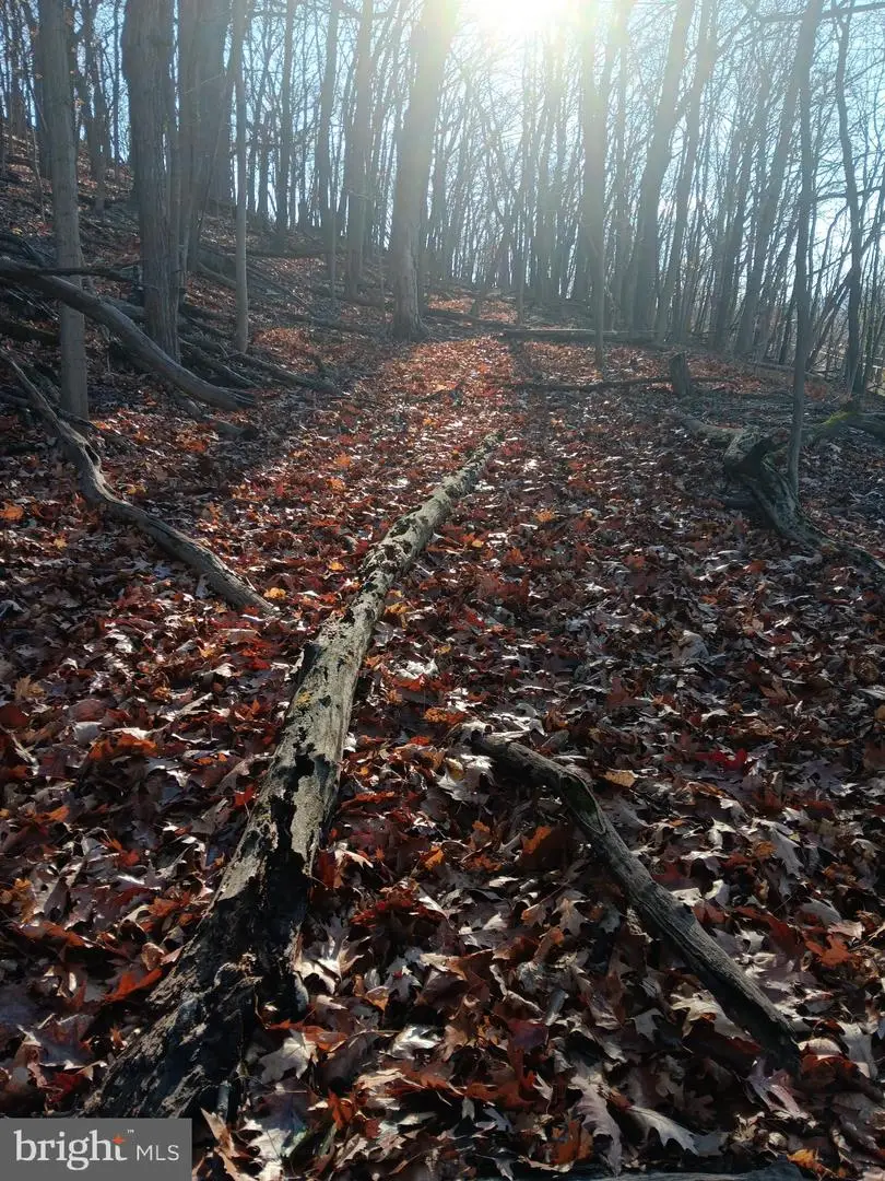 Gray Ave, Cumberland, MD 21502 - Image #1