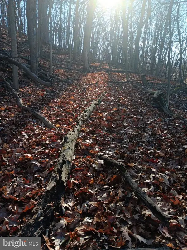 Gray Ave, CUMBERLAND, MD 21502