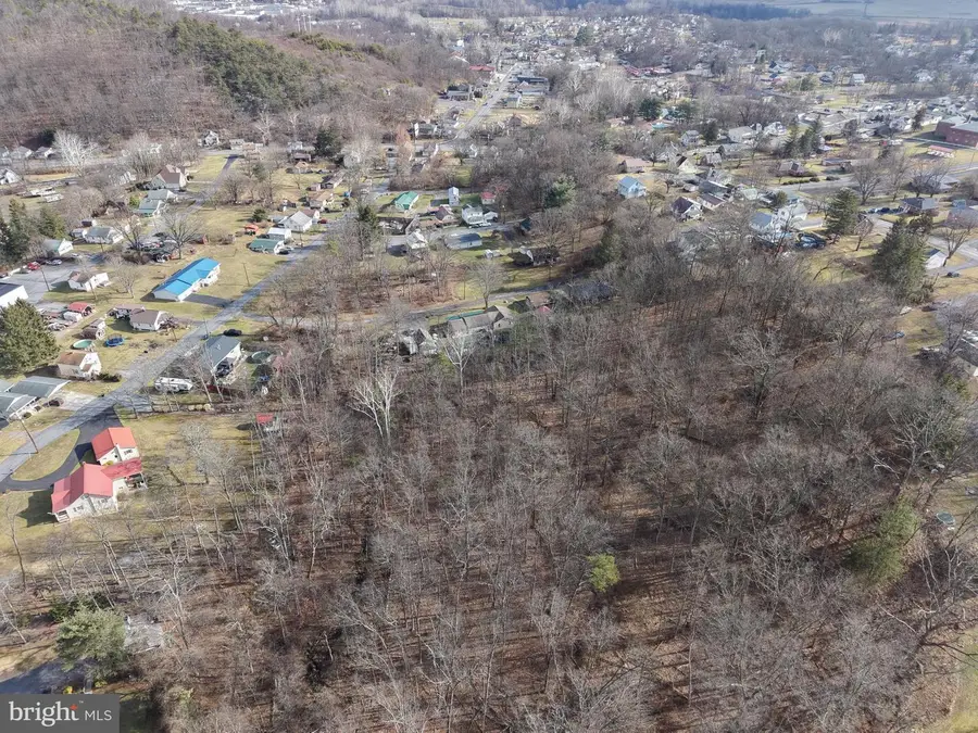 Tract 3: .83+/- Acres-at 14608 Ethridge St, Cresaptown, MD 21502 - Image #3