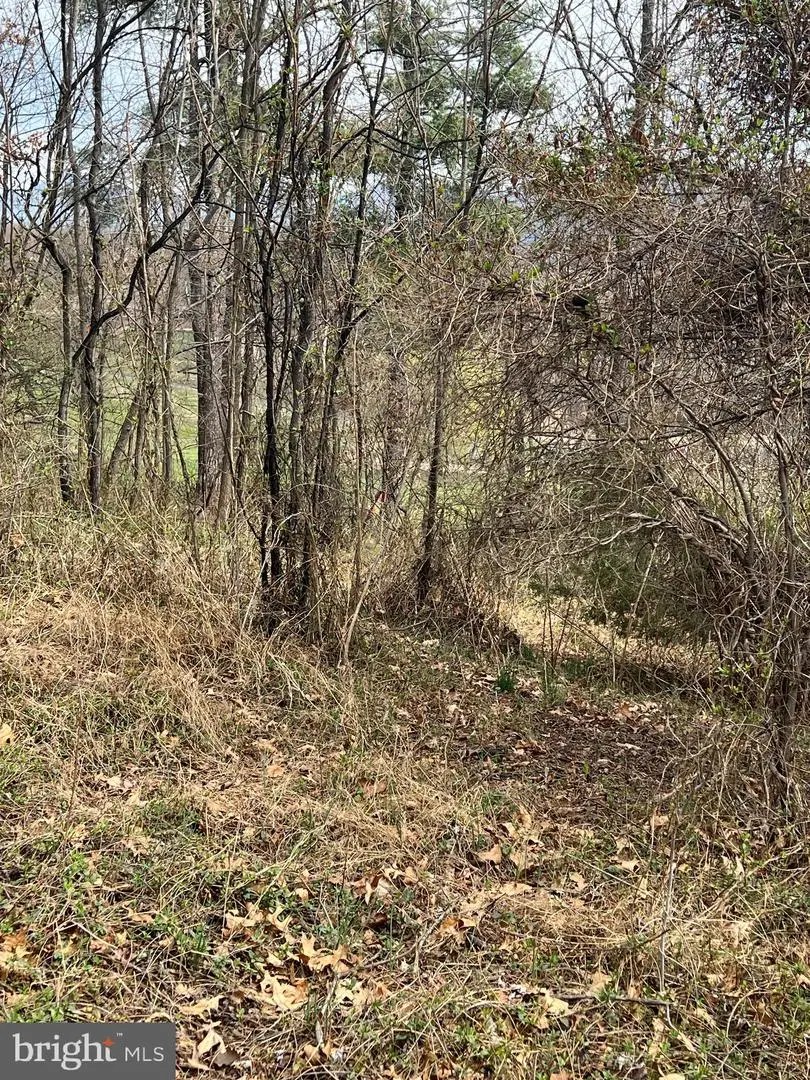 Rose Hill Dr, Rawlings, MD 21557 - #2