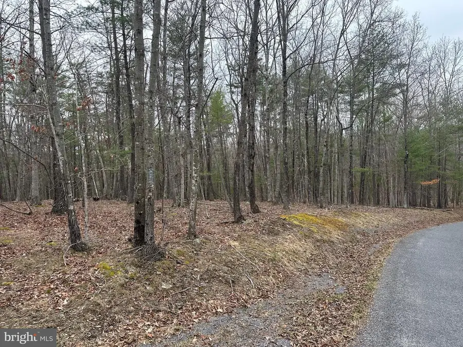 Oliver Beltz Rd, Oldtown, MD 21555 - #2