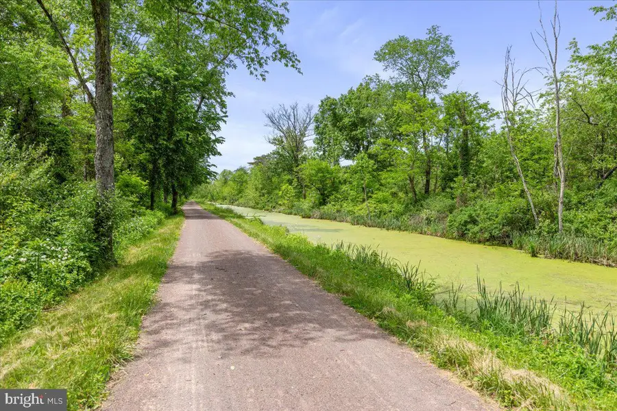 Bakers Island Rd, Oldtown, MD 21555 - #2