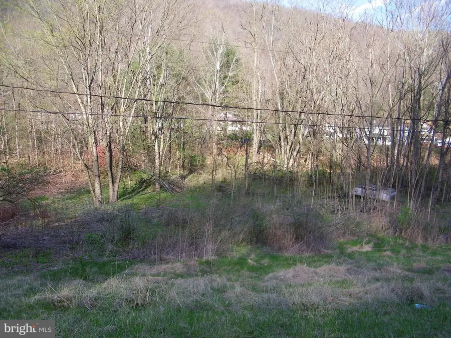 Route 36 Rd, Westernport, MD 21562 - #2