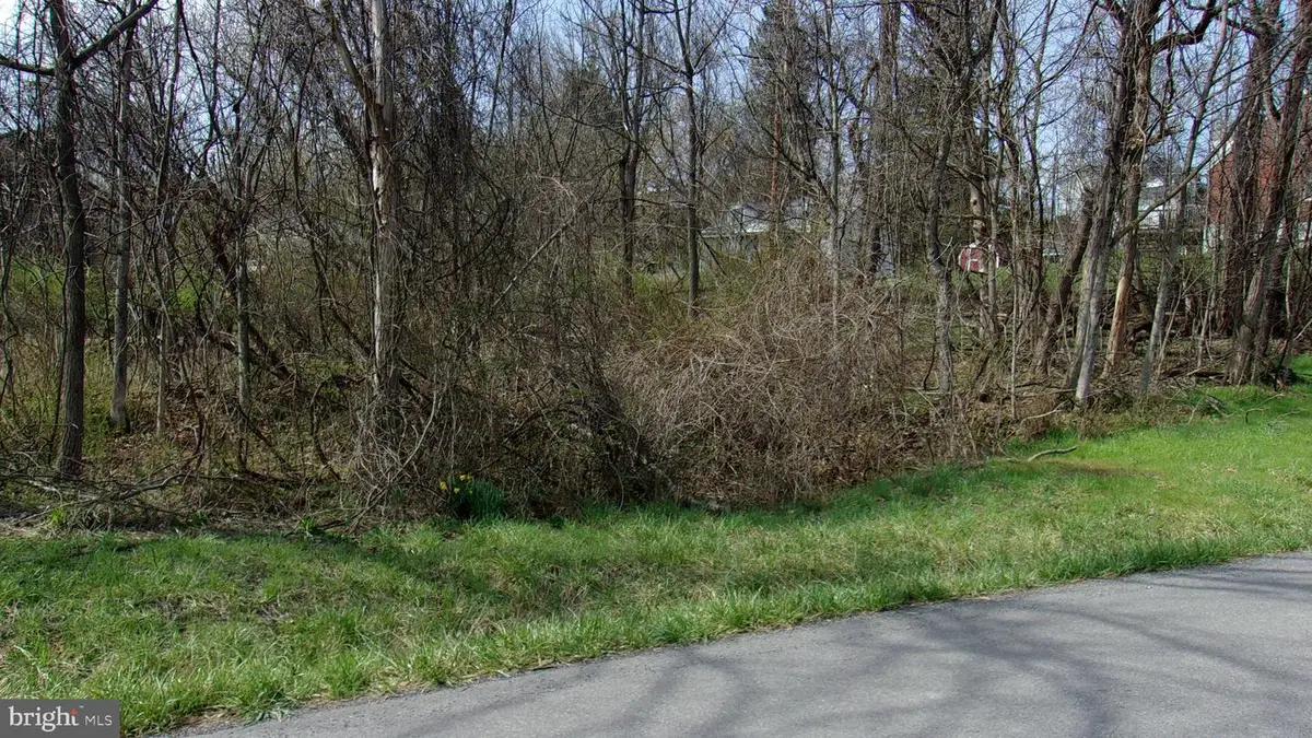 Pauline Ave, Corriganville, MD 21524 - #1