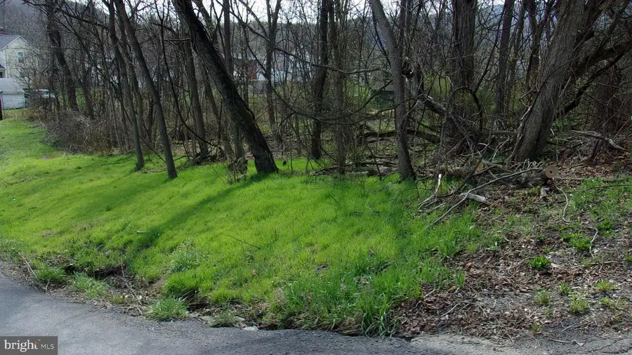 Pauline Ave, Corriganville, MD 21524 - #2