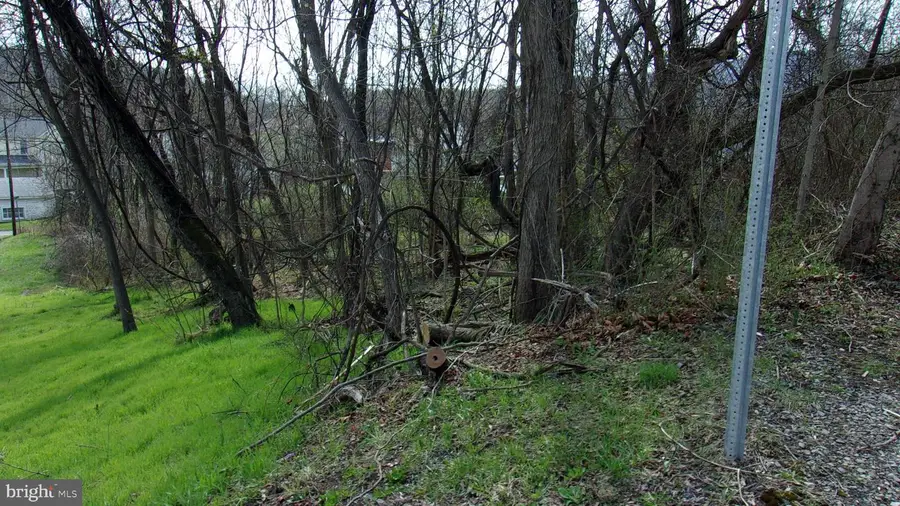 Pauline Ave, Corriganville, MD 21524 - #3