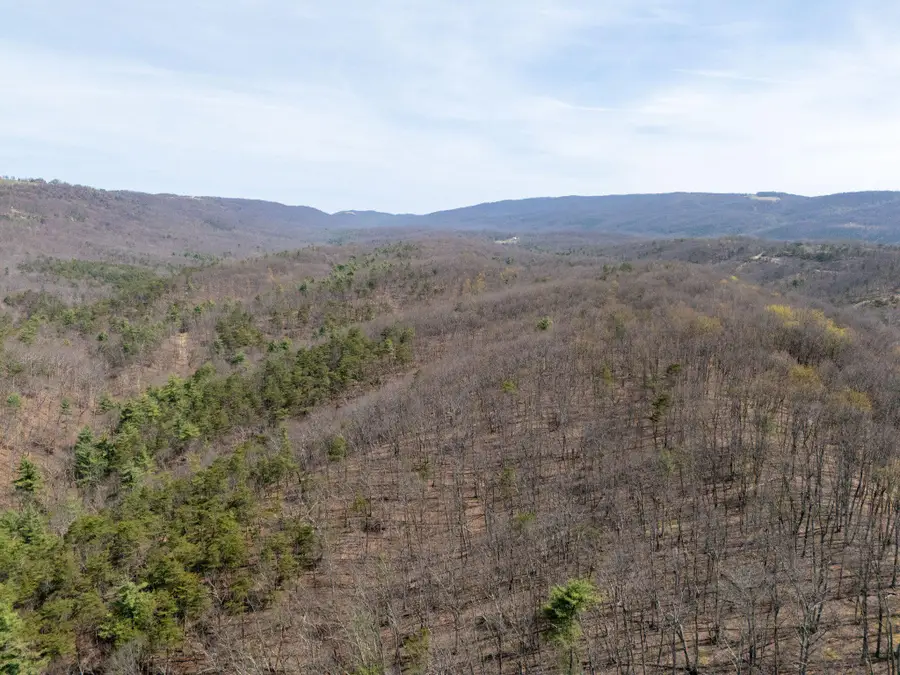 Walnut Ridge Rd Se, Oldtown, MD 21555 - #2