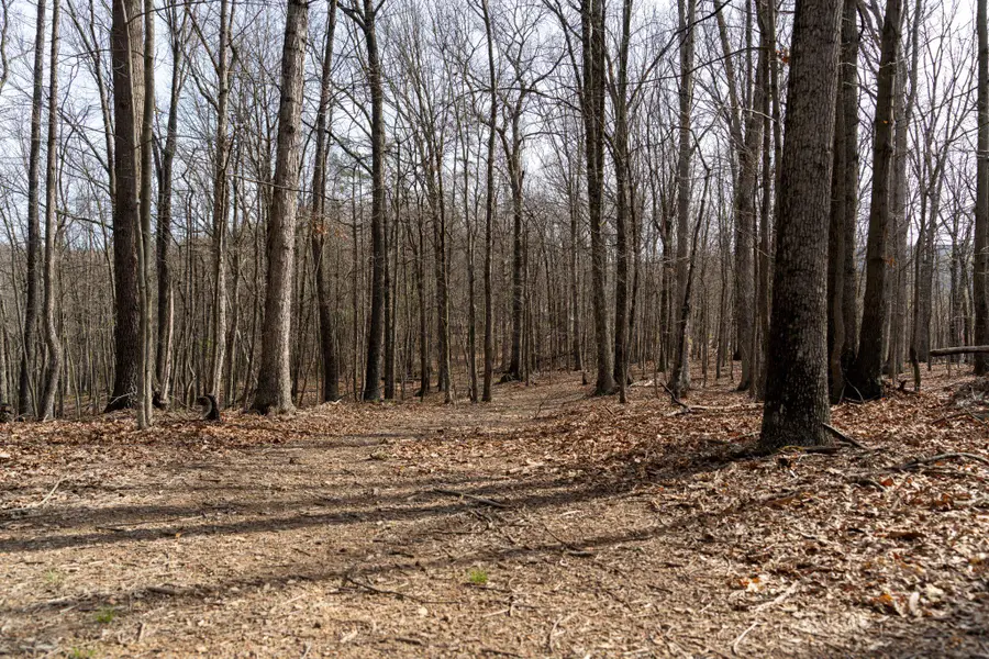 Walnut Ridge Rd Se, Oldtown, MD 21555 - #3