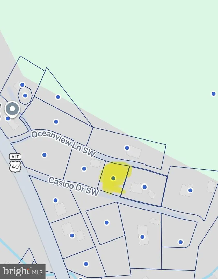 Scrubridge Rd, Eckhart Mines, MD 21528 - #3