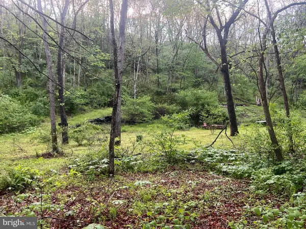 0 Sidling Hill Creek Rd, LITTLE ORLEANS, MD 21766