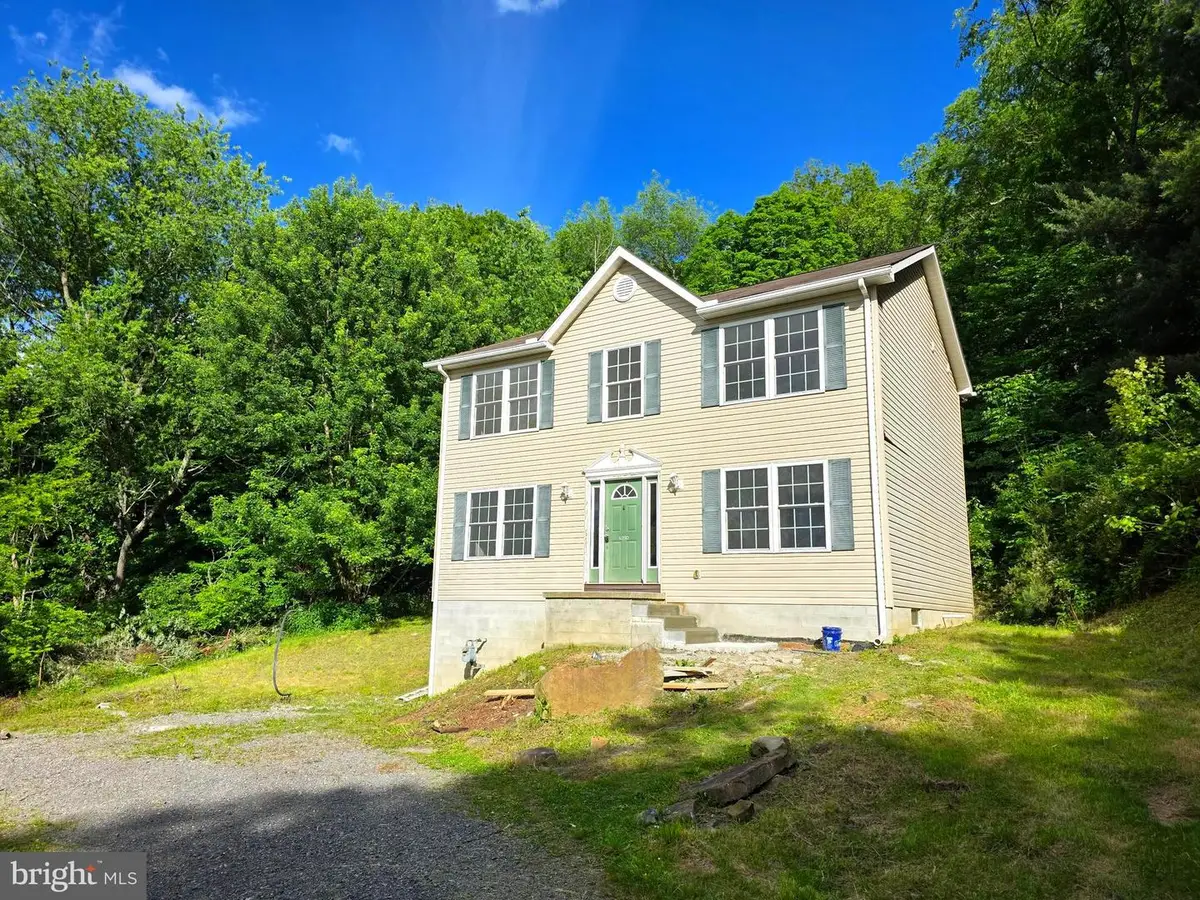 17420 Porter Rd, Eckhart Mines, MD 21528 - #1