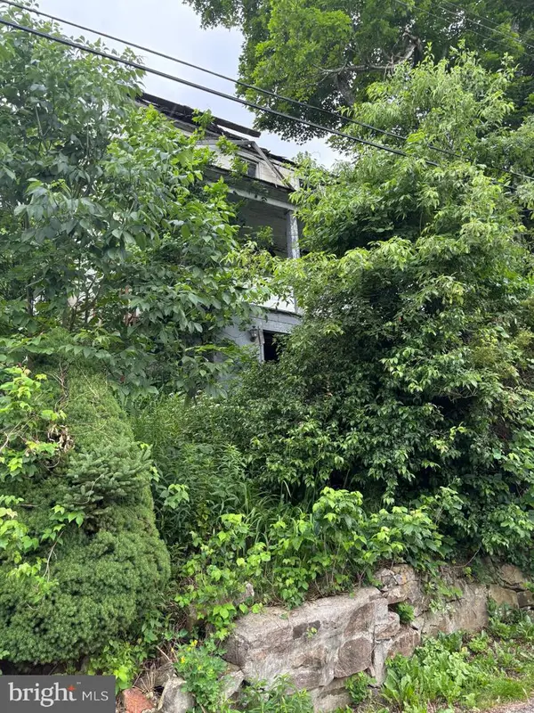13 Dudley St, LONACONING, MD 21539