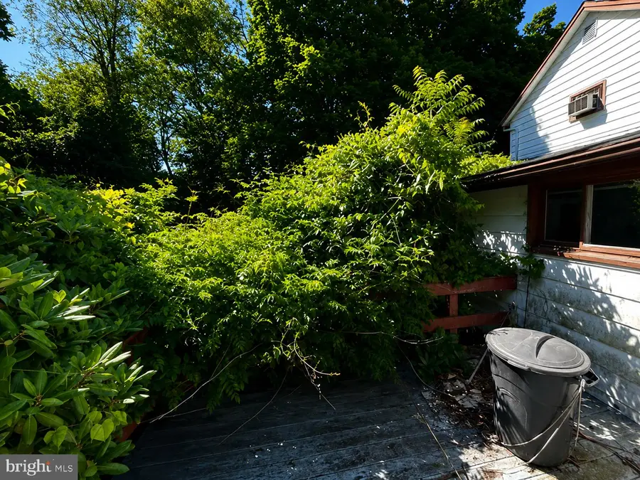 12808 Rose Mary, Mount Savage, MD 21545 - #3