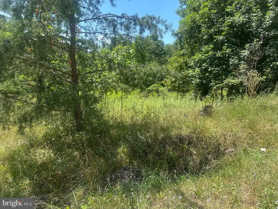 Log Trail Rd, Cumberland, MD 21502 - #3