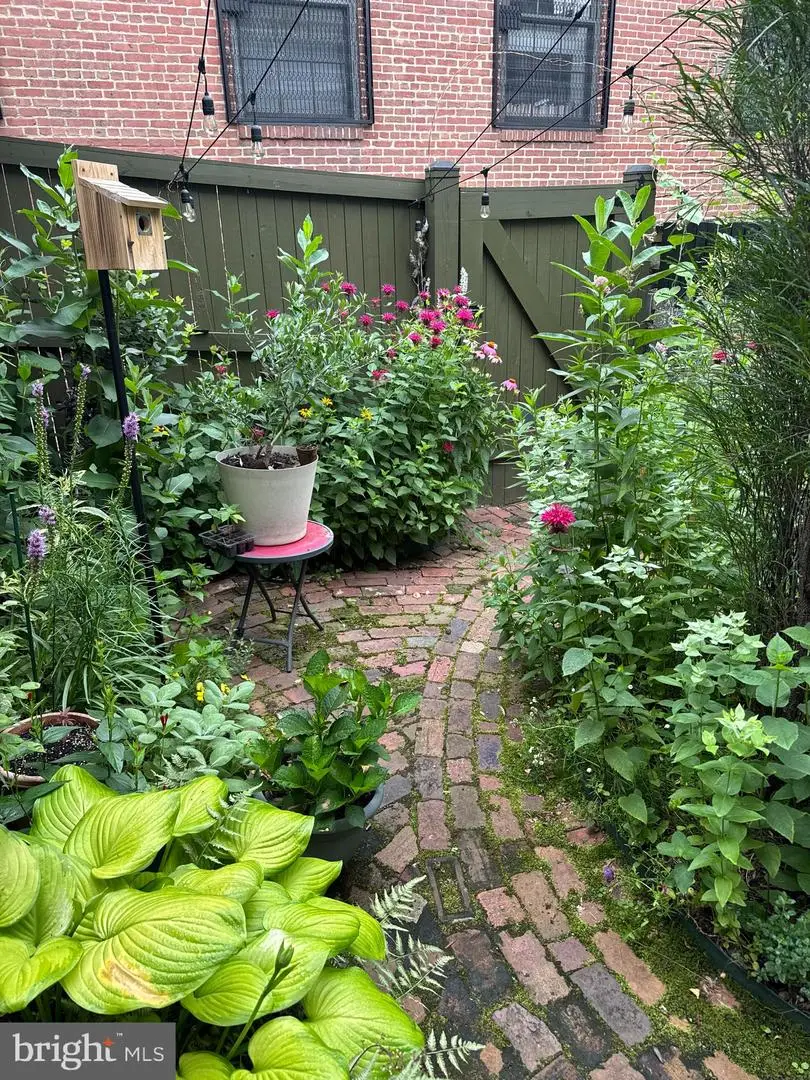 208 E Eager St, Baltimore, MD 21202 - Image #2