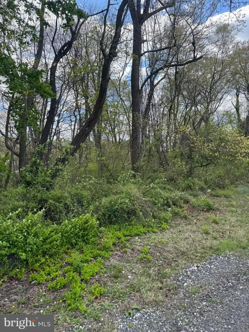 Virginia Ave, Essex, MD 21221 - Image #2