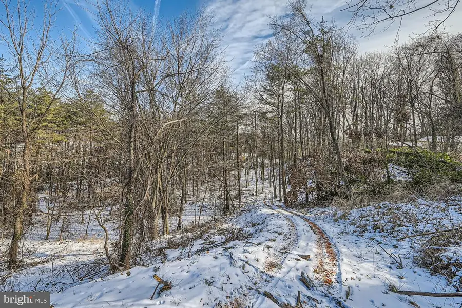 .48 Ac Winchester Ave, Ocala, WV 25405 - Image #2