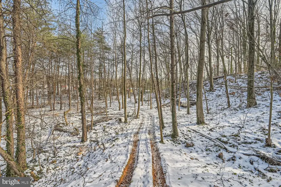 .48 Ac Winchester Ave, Ocala, WV 25405 - Image #3