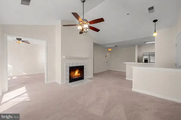 4402 Silverbrook Ln #d302, OWINGS MILLS, MD 21117