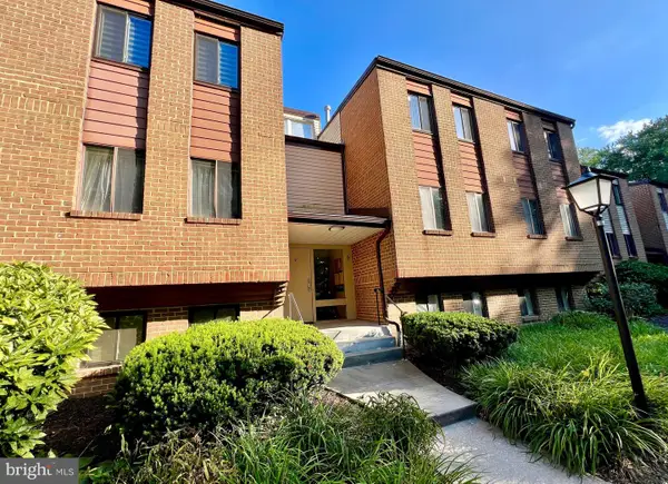9 Suntop Ct #202, BALTIMORE, MD 21209