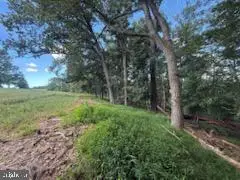 Mt. Carmel Rd, Parkton, MD 21120 - #3