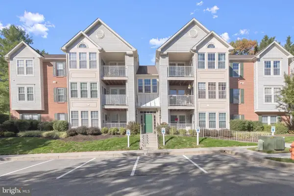 8005 Township Dr #304, OWINGS MILLS, MD 21117