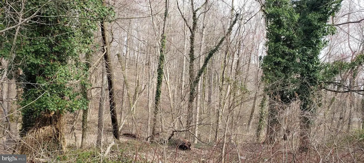 4200 Chesapeake Ave, Chesapeake Beach, MD 20732 - Image #1